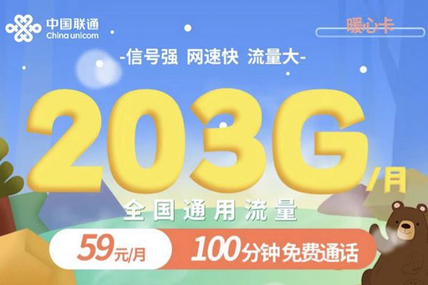 2025年联通无限流量卡  第1张