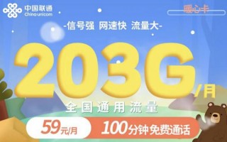 2025年联通无限流量卡