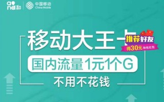 移动大王卡18元套餐的定向流量介绍