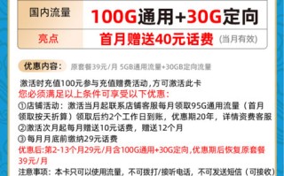 电信翱翔卡 29元月租100G通用+30G定向【实惠套餐】 电信翱翔卡 29元月租100G通用+30G定向【实惠套餐】