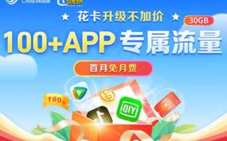 移动花卡宝藏版