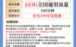 联通新兔卡29元月 103G通用+100分钟
